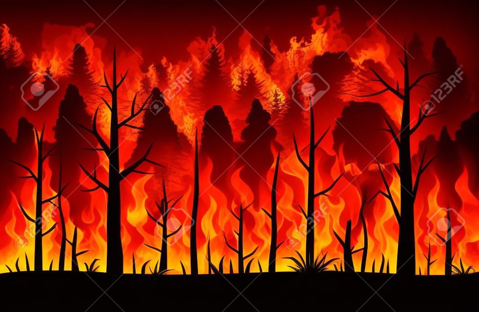 Wildvuur, bosbrand, achtergrond natuurlijke ramp