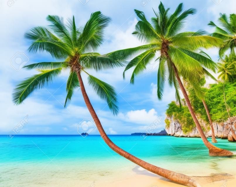 Playa tropical con palmeras, isla de Kood, Tailandia