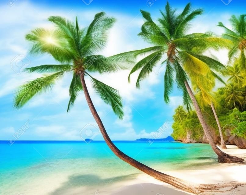 Тропический пляж с пальмами, остров Куд, Таиланд