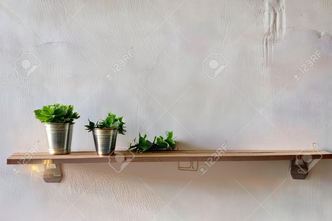 Tablón de madera en la pared con florero de zinc planta