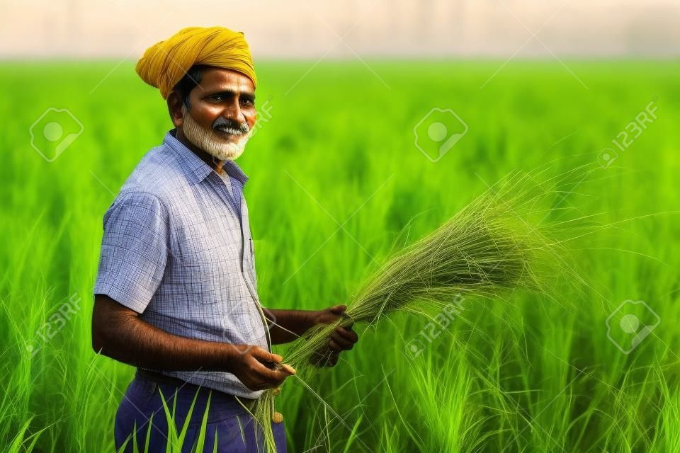 Indyjski Rolnik