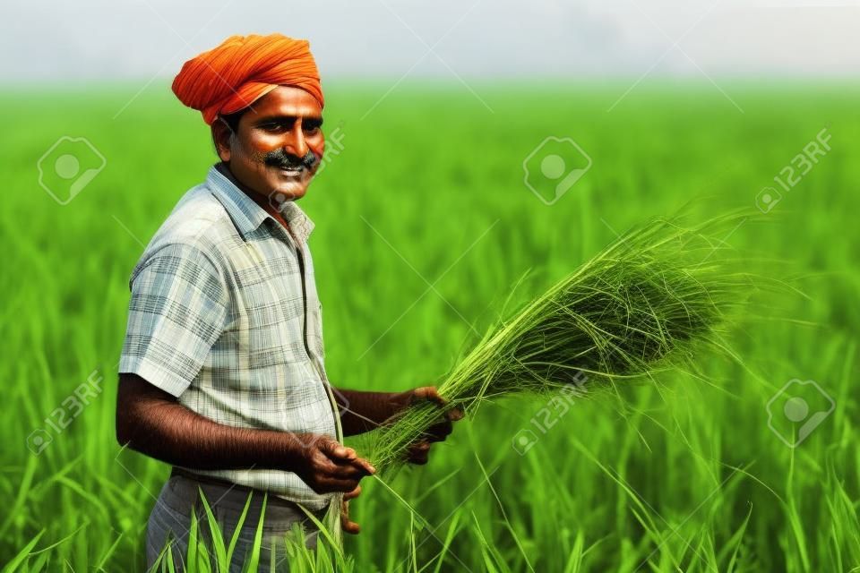 印度農民