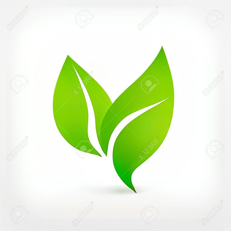 cone abstrato do logotipo do vetor do cuidado das folhas. cone do eco com folha verde.