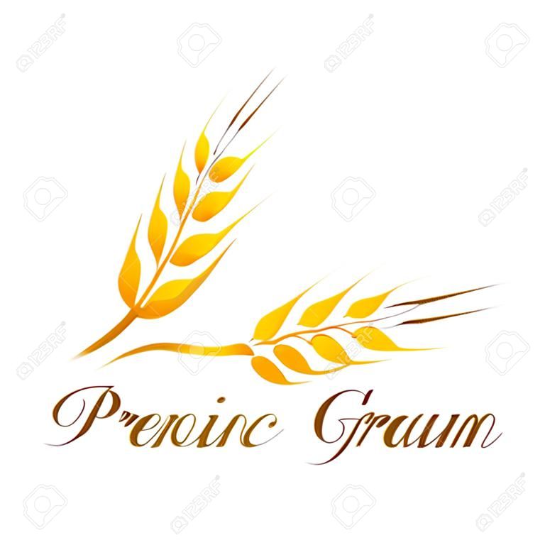 Колосья пшеницы, векторные иллюстрации, Икона Premium Quality фермерской продукции