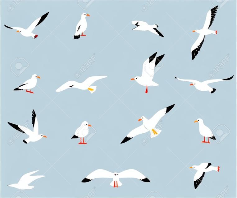 套在白色背景上孤立的平面样式的海鸥。海鸥，一只美丽的鸟。卡通风格的可爱鸟。