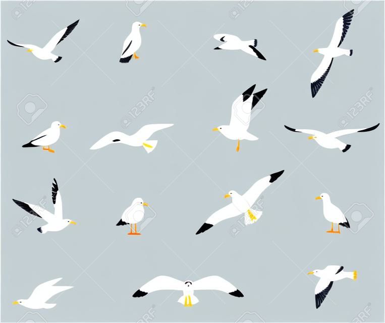 zestaw seagulls w płaskim stylu samodzielnie na białym tle. Mewa morska, piękny ptak. Cute ptak w stylu kreskówek.