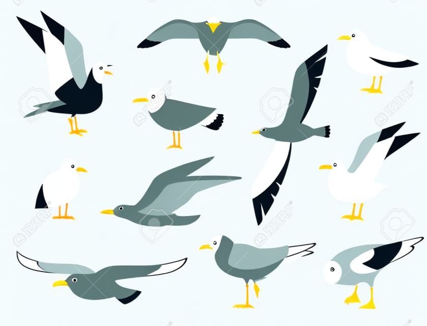 Vector set of beautiful seagulls in a flat style isolated on white background. Sea Gull, a beautiful bird. Cute bird in cartoon style. Cartoon atlantic seabird.