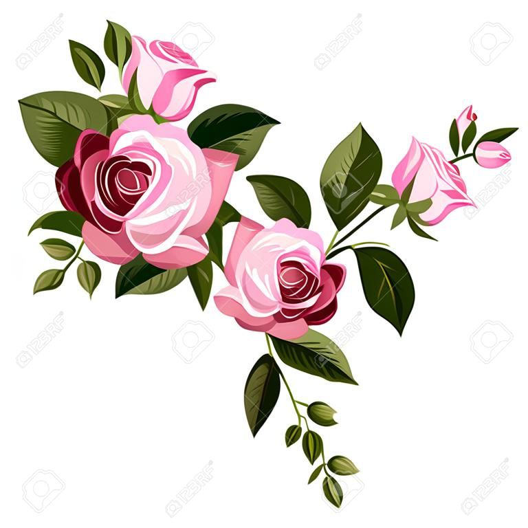 Pink vintage roses, rosebuds and leaves illustration 