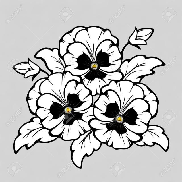 Wektor czarny kontur kwiatów bratek na białym tle.