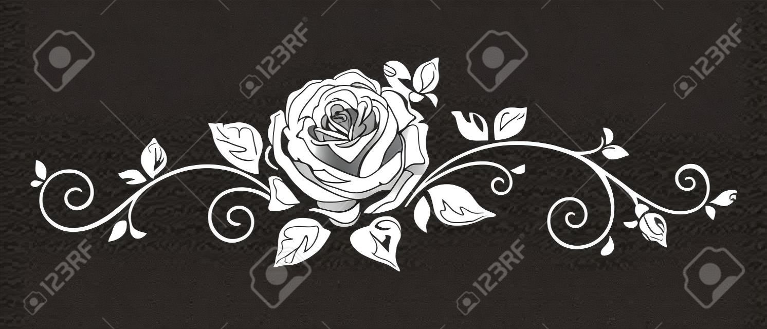Vector viñeta horizontal en blanco y negro con una rosa.