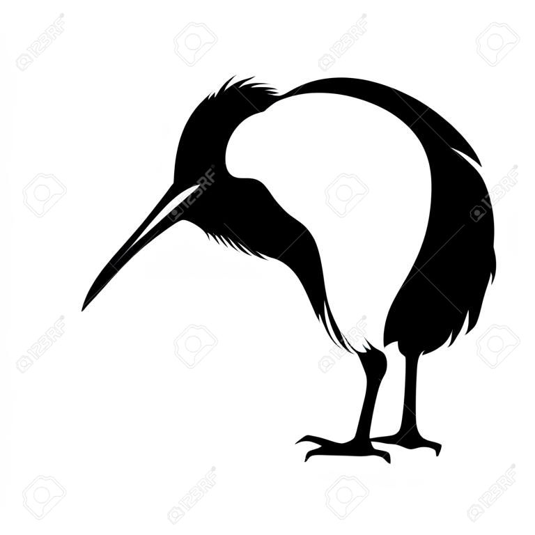 Vector black silhouette of a kiwi bird isolated on a white background.
