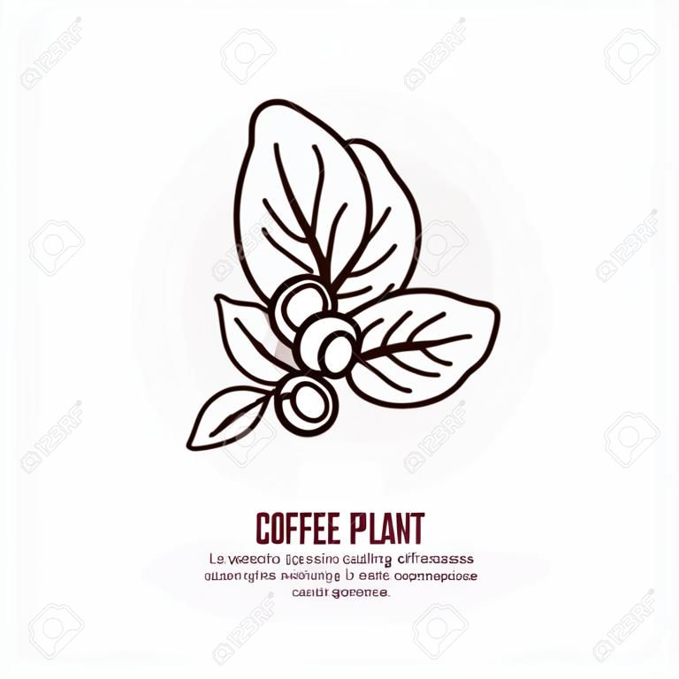 Vector lijn pictogram van koffieboom. Koffieplant lineair logo. Omtrek symbool voor cafe, bar, winkel. Coffeemaking design element voor sites.