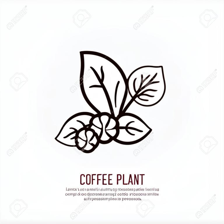 Icône de la ligne vectorielle du caféier. Logo linéaire de la plante du café. Symbole de présentation pour café, bar, magasin. Élément de conception de la cafetière pour les sites.