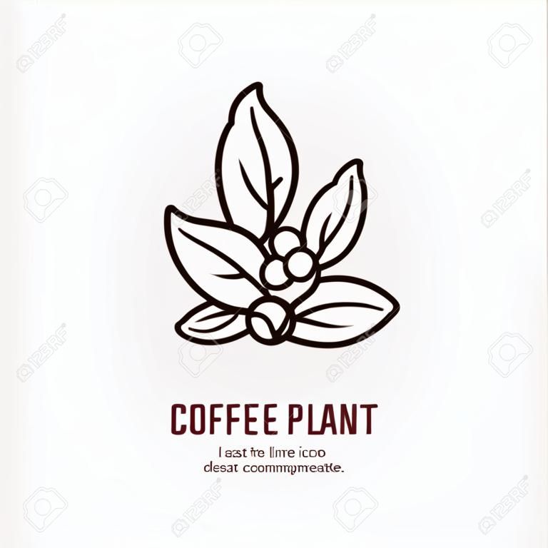 咖啡树矢量线图标。咖啡植物线性徽标。咖啡馆，酒吧，商店的大纲符号。网站的咖啡制作设计元素。