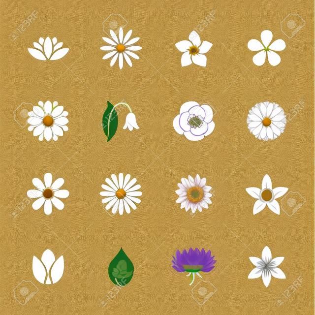 Flowers flat glyph icons. Beautiful garden plants - chamomile, sunflower, rose flower, lotus, carnation, dandelion, violet blossom. Signs for floral store. Solid silhouette pixel perfect 48x48.