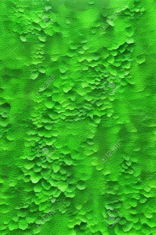 künstliche grüne Blattwand für Innendekoration