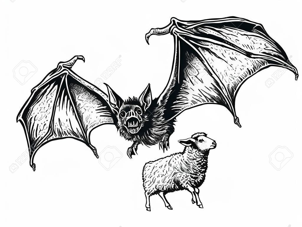 Vliegende reusachtige vampier vleermuis gevangen een schaap. Hand getekend vintage gravure stijl vector illustratie zwart op witte achtergrond. Sticker, poster, t shirt print, tatoeage ontwerp, kleuren pagina voor volwassenen.