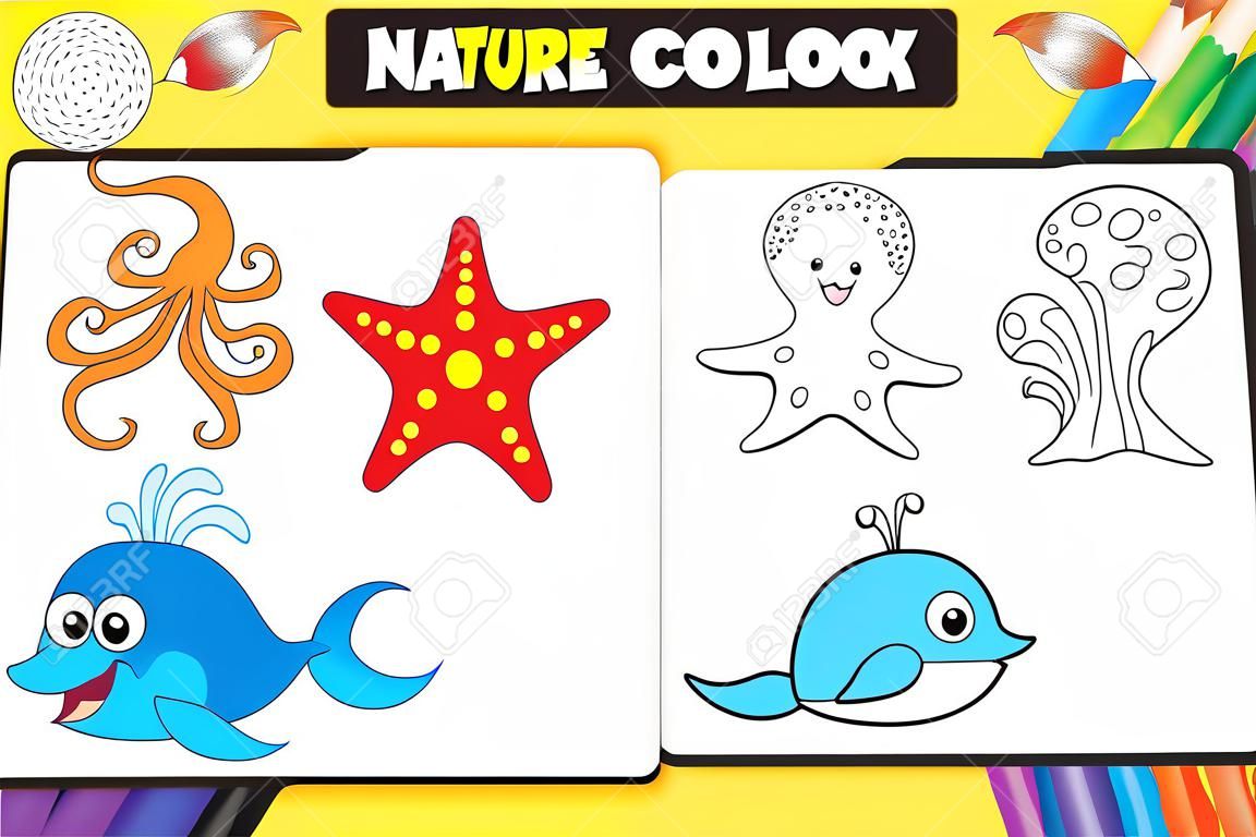 Natura coloring book foglio pagina / attività per i bambini in età prescolare con animali marini colorati