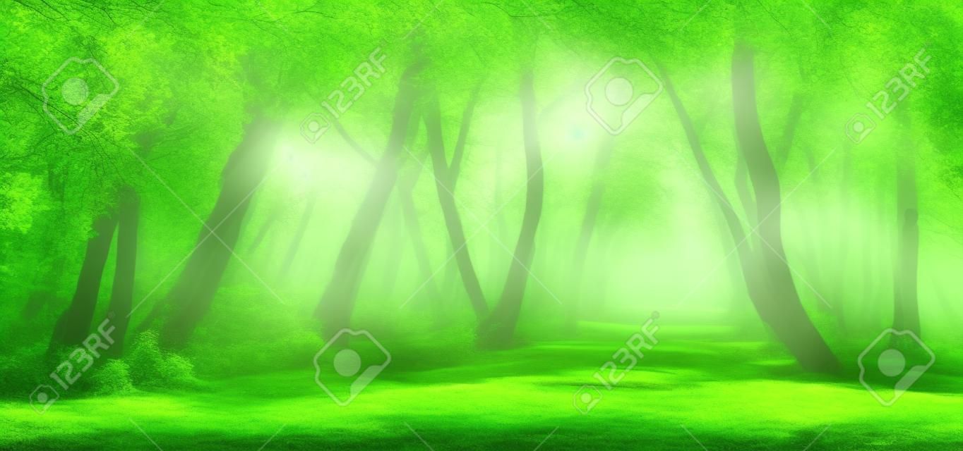 Enchanting sunny green forest landscape.