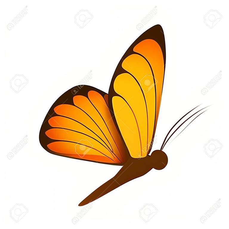 Mariposa. Imagen de una hermosa mariposa naranja, vista lateral. Una polilla brillante. Ilustración de vector aislado sobre fondo blanco
