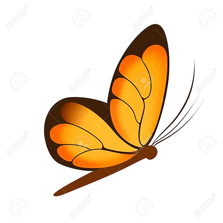 Butterfly. Image of a beautiful orange butterfly, side view. A bright moth. Vector illustration isolated on a white background