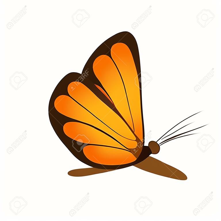 Butterfly. Image of a beautiful orange butterfly, side view. A bright moth. Vector illustration isolated on a white background