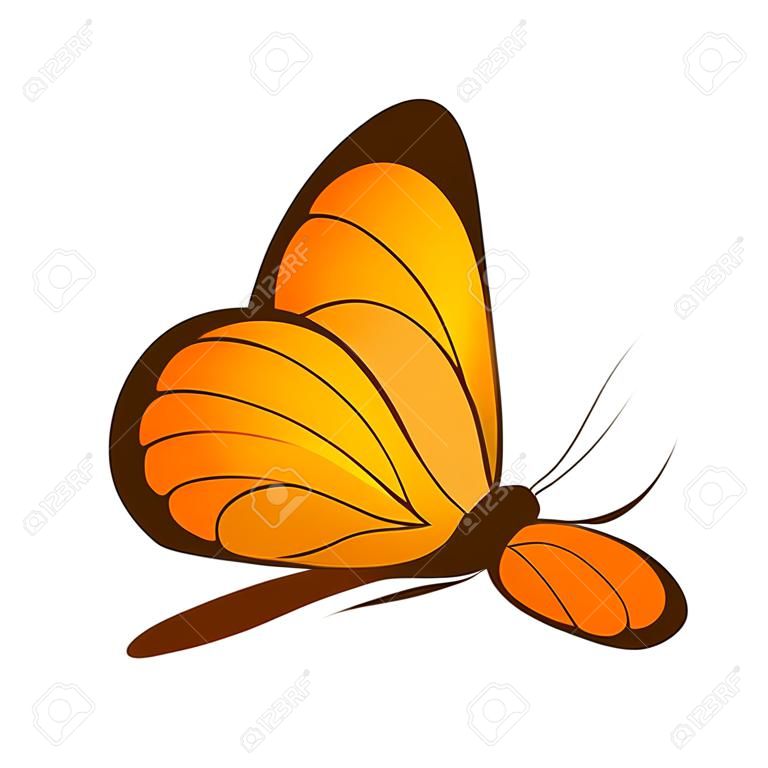 Farfalla. Immagine di una bellissima farfalla arancione, vista laterale. Una falena luminosa. Illustrazione vettoriale isolata su sfondo bianco