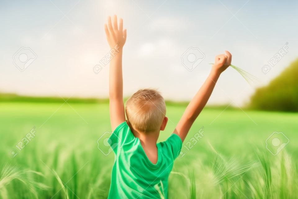 Portrait of a boy in a white T-shirt and playing in a green barley field. Back view.