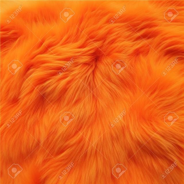 긴 더미와 함께 완벽 한 솜 털 오렌지 모피입니다.