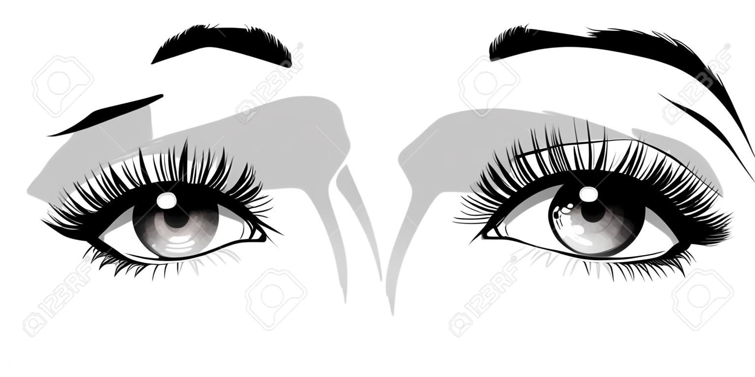 Ilustración de moda. Imagen dibujada a mano de hermosos ojos con cejas y pestañas largas. Vector