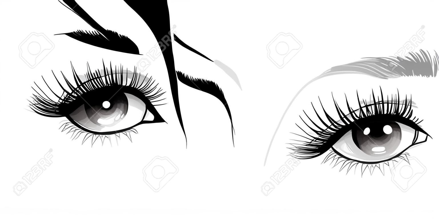 Modeillustration. Handgezeichnetes Bild schöner Augen mit Augenbrauen und langen Wimpern. Vektor