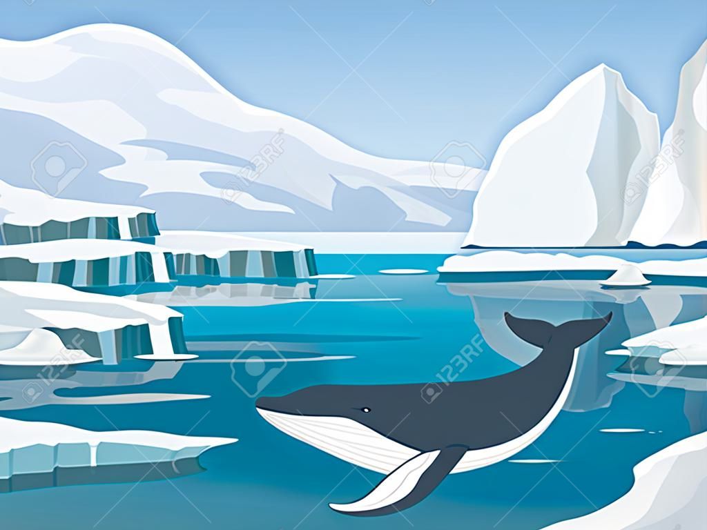 Vector illustration of beautiful arctic landscape of northern and Antarctic life. Icebergs in ocean and underwater world with whale in flat cartoon style.