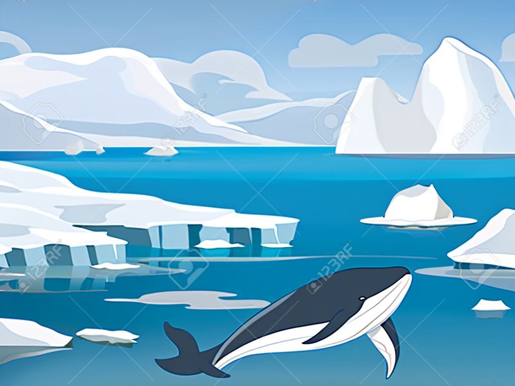 Vector illustration of beautiful arctic landscape of northern and Antarctic life. Icebergs in ocean and underwater world with whale in flat cartoon style.