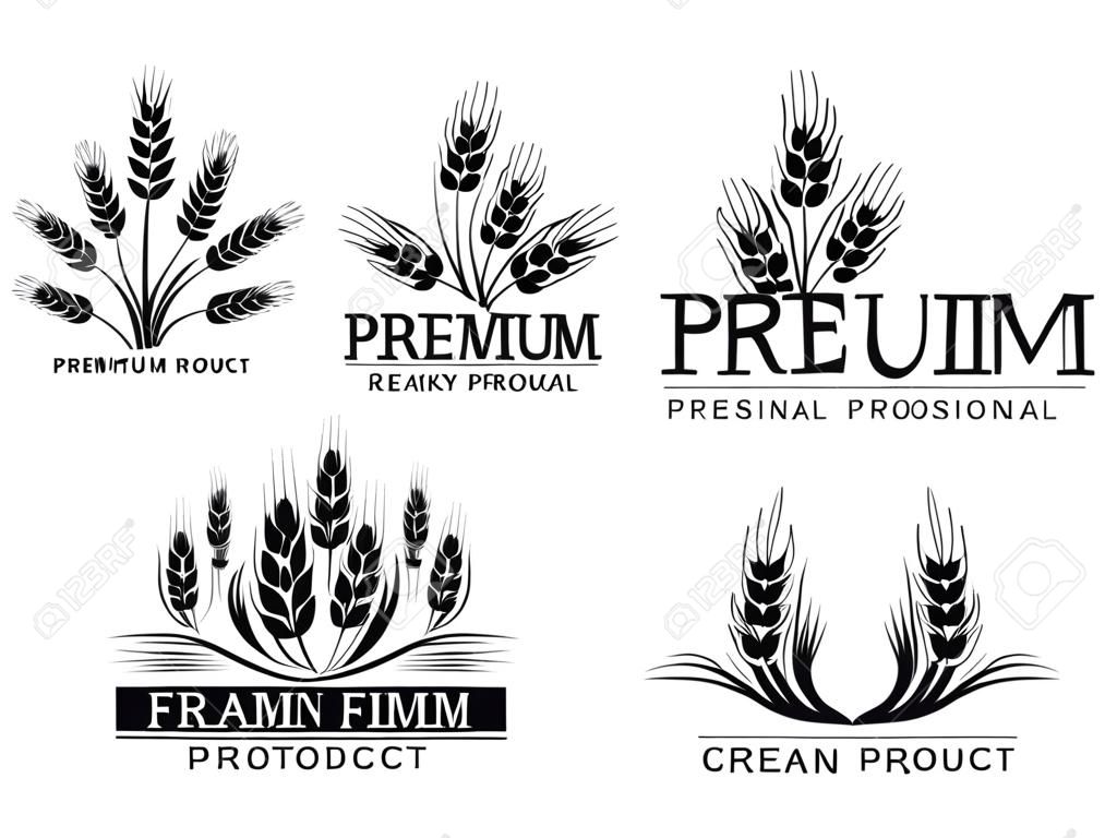 Premium grain flat vector logotype in black silhouette designs set. Organic cereal crops, natural product advertising. Ripe wheat ears cartoon illustrations with typography. Eco farm, bakery shop logo concepts pack.