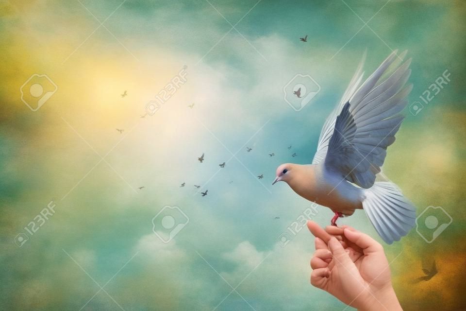 The dove flies up from the hand against the background of the sky and the net.