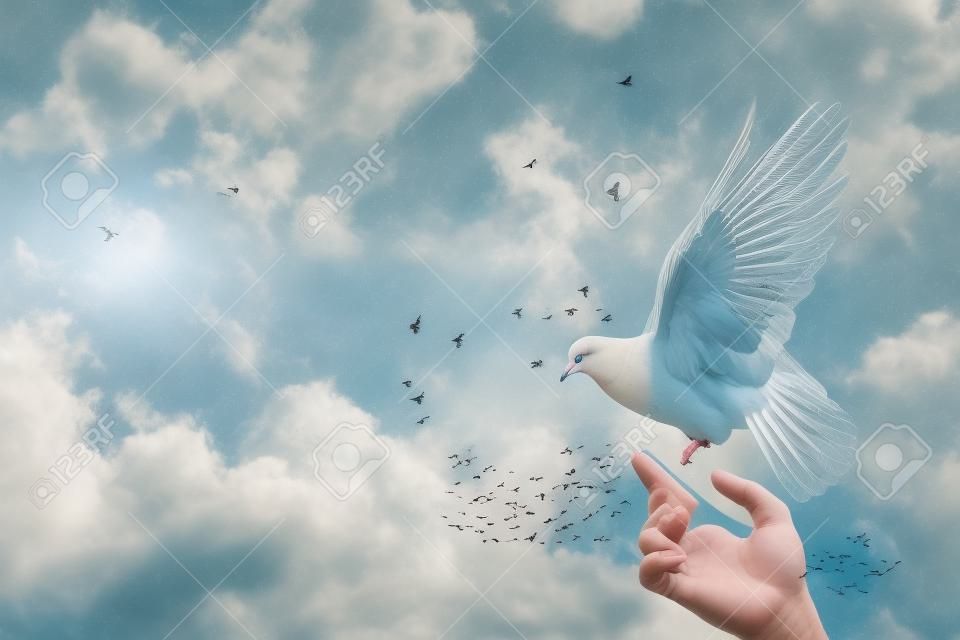 The dove flies up from the hand against the background of the sky and the net.