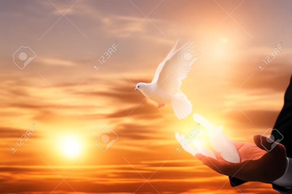 Zakenman bevrijdt duiven uit hun handen vliegen tegen de achtergrond van een zonnige zonsondergang.