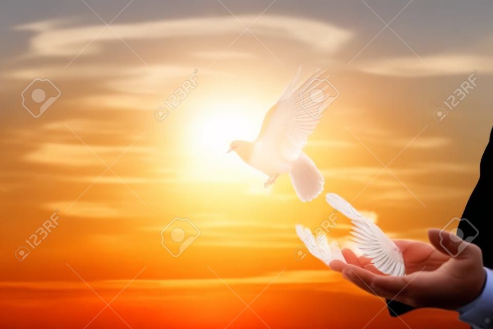 Zakenman bevrijdt duiven uit hun handen vliegen tegen de achtergrond van een zonnige zonsondergang.