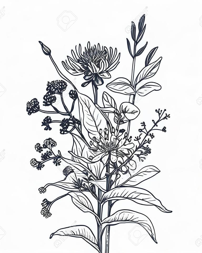 Векторные цветочные букеты с черно-белыми рисованной травы и полевые цветы в стиле эскиза.