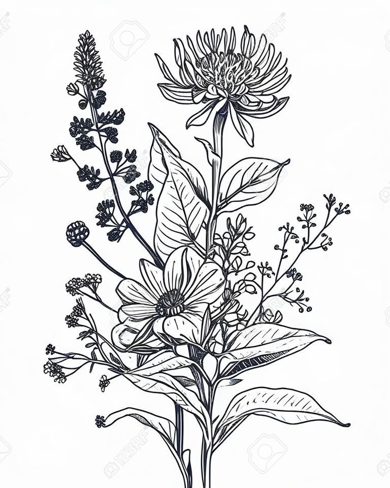 Векторные цветочные букеты с черно-белыми рисованной травы и полевые цветы в стиле эскиза.