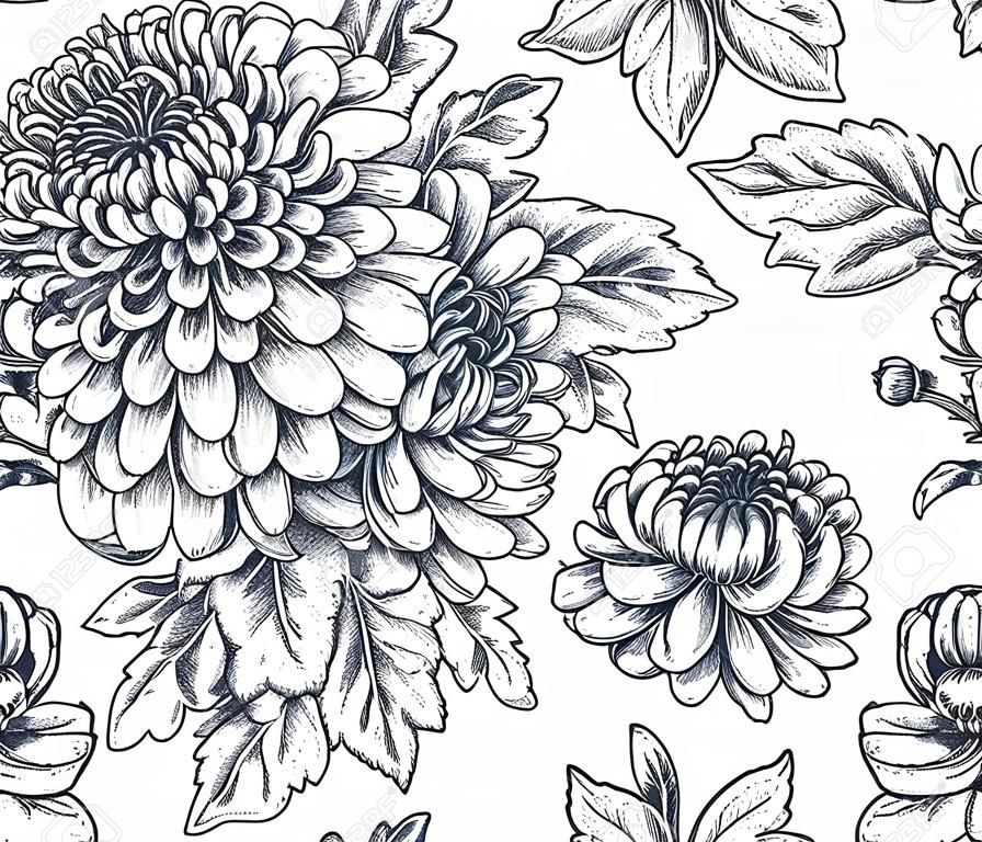 Vector seamless pattern with hand drawn chrysanthemum flowers on white background