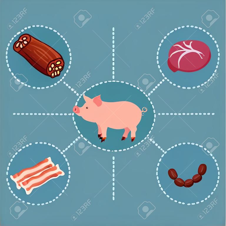 Schweine- und Fleischprodukte. Vektor-Icons. Zugehöriges Konzept