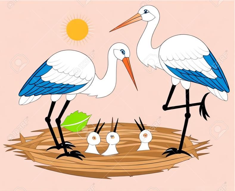 Illustratie van gelukkige ooievaarsfamilie met hun kuikens in het nest. Vector cartoon afbeelding.