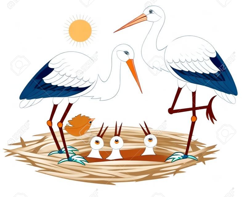 Ilustracja szczęśliwej rodziny bocianów z pisklętami w gnieździe. Wektor kreskówka obraz.