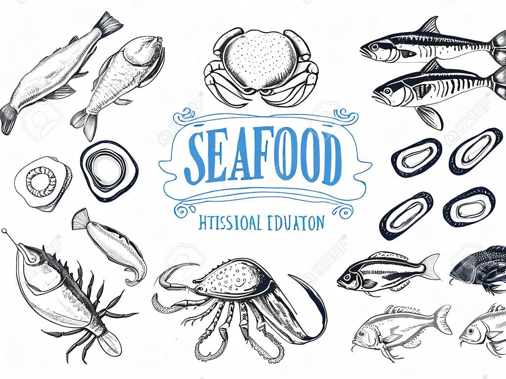 Vector hand drawn illustration with seafood. Sketch.