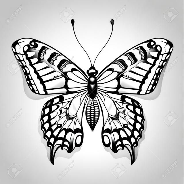 Tattoo art butterfly for design and decoration. Realistic butterfly with shadow. Vector sketch of butterfly.