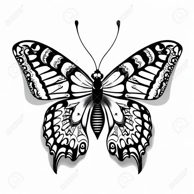 Tattoo art butterfly for design and decoration. Realistic butterfly with shadow. Vector sketch of butterfly.