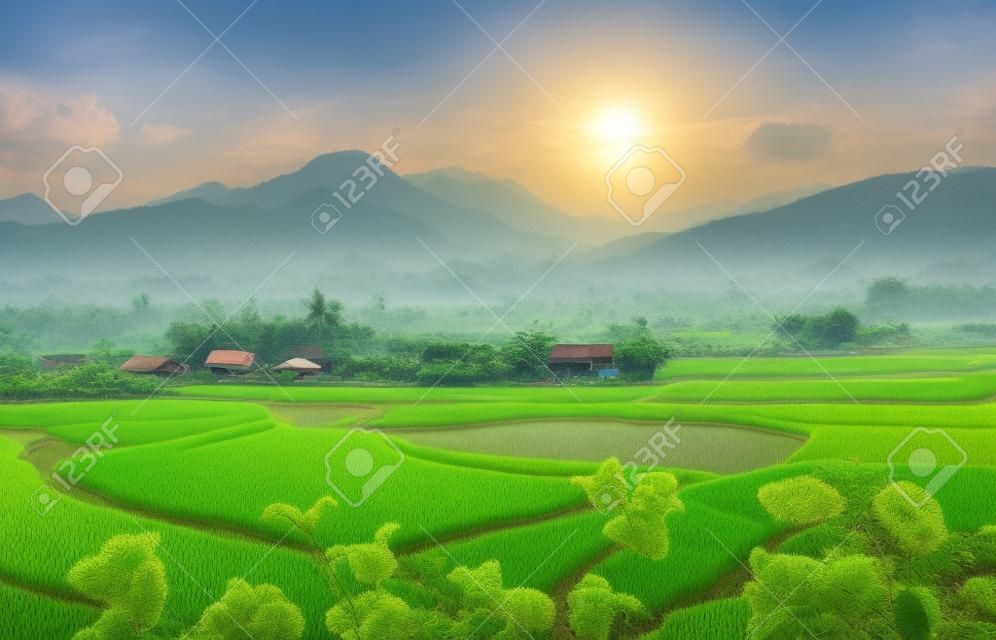 Countryside house in Rice Field,Northeast,Nan,Thailand.