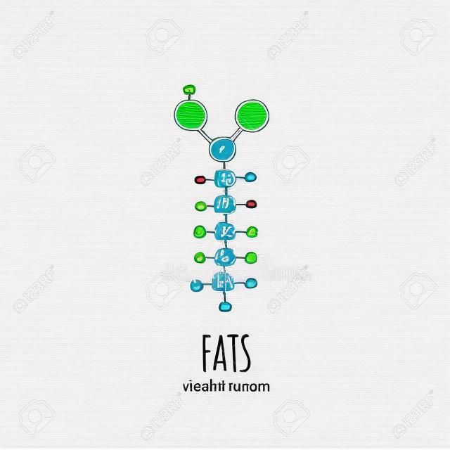 Kézzel rajzolt doodle zsír kémiai képlet ikon vektoros illusztráció dieting szimbólum rajzfilm vázlat fogyás elem fitness diéta sport táplálkozás egészséges táplálkozás egyenleg fehér alapon
