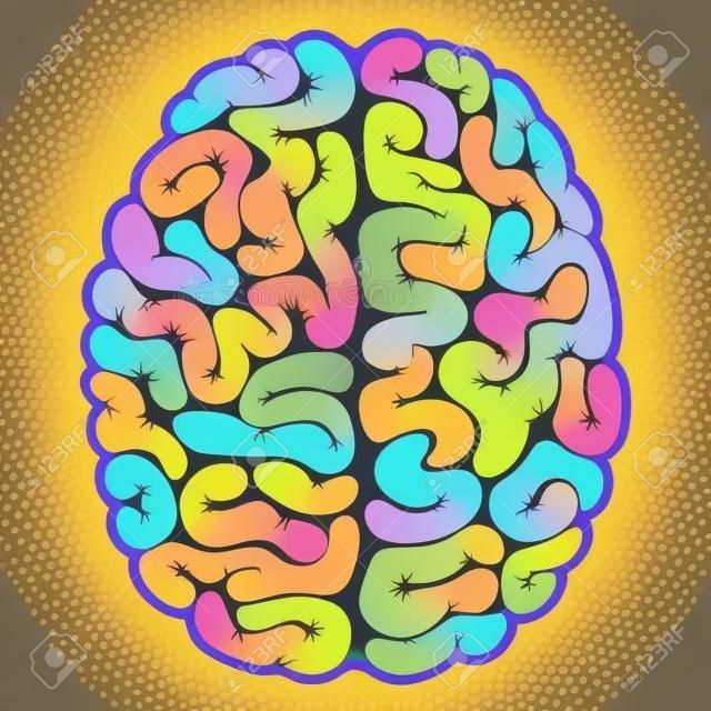 Concept of the thinking process. Creative left brain and logical rightbrain. Idea concept background. Vector illustration